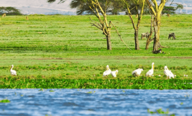Viaggi di gruppo in Kenya