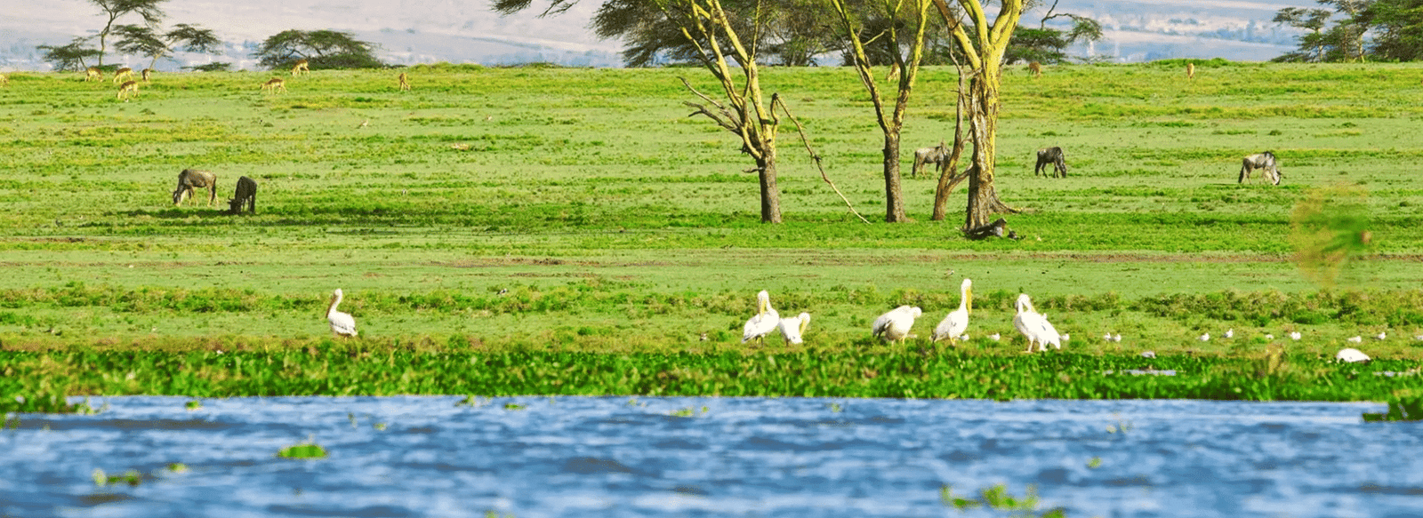 Viaggi di gruppo in Kenya
