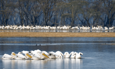 les meilleures destinations en Afrique pas chères