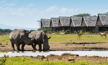 Kenya's Best Safari Parks And Reserves