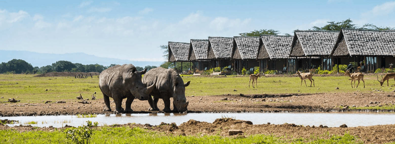 Kenya's Best Safari Parks And Reserves