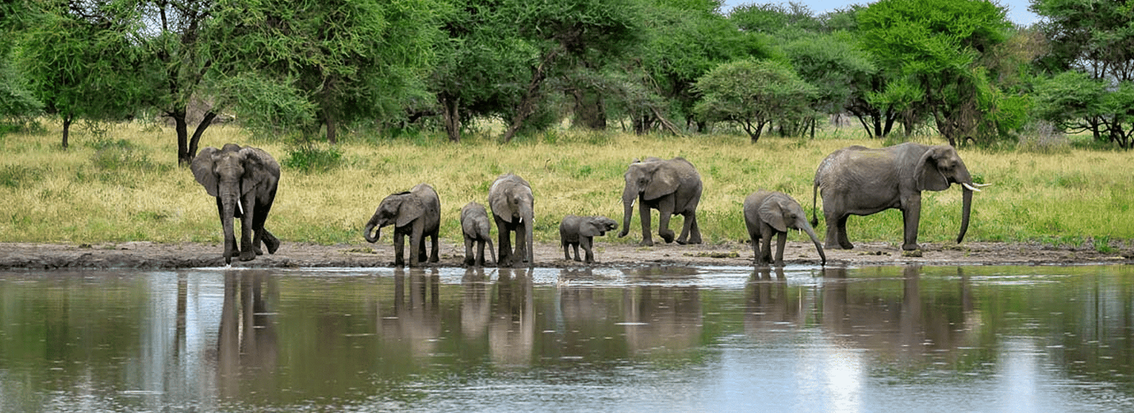 Exklusive Afrika Reisen & Safaris