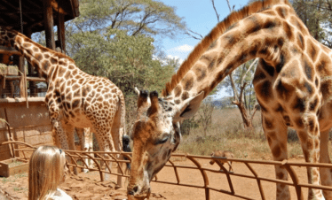 Exklusive Afrika Reisen & Safaris